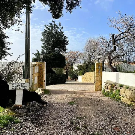 Βίλα Monte Uvas