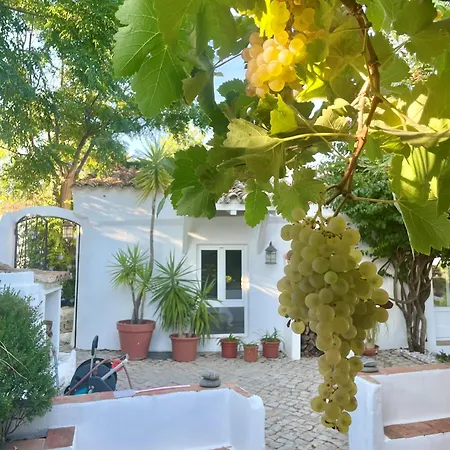 Monte Uvas Βίλα