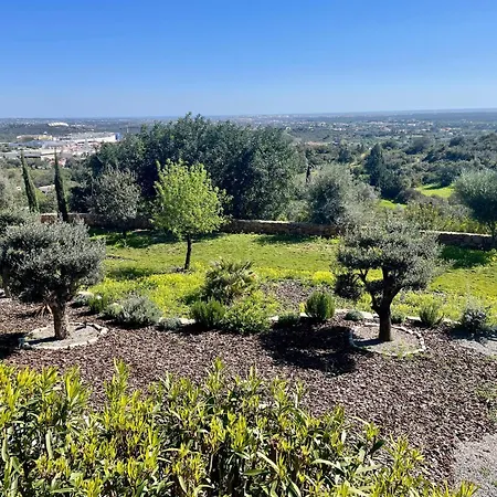 Monte Uvas